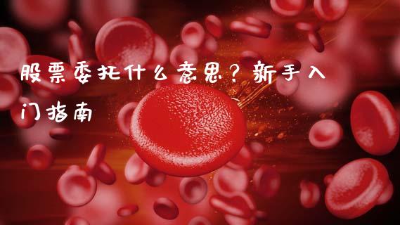 股票委托什么意思？新手入门指南_https://wap.fansifence.com_今日财经_第1张