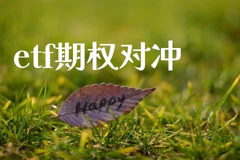 etf期权对冲_https://wap.fansifence.com_外汇交易_第1张