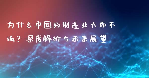 为什么中国的制造业大而不强？深度解析与未来展望_https://wap.fansifence.com_投资理财_第1张