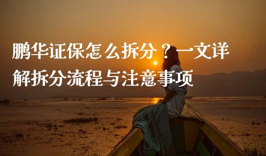 鹏华证保怎么拆分？一文详解拆分流程与注意事项_https://wap.fansifence.com_投资理财_第1张