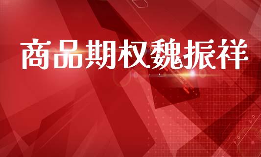商品期权魏振祥_https://wap.fansifence.com_债券投资_第1张