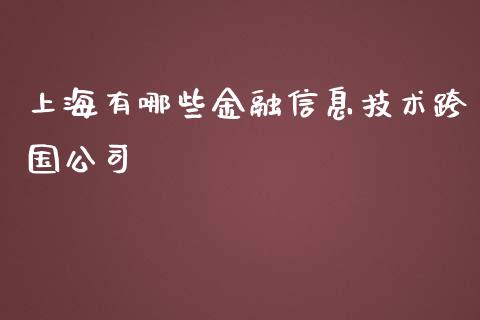 上海有哪些金融信息技术跨国公司_https://wap.fansifence.com_今日财经_第1张