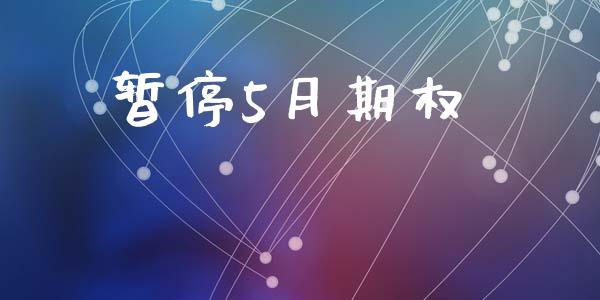 暂停5月期权_https://wap.fansifence.com_投资理财_第1张