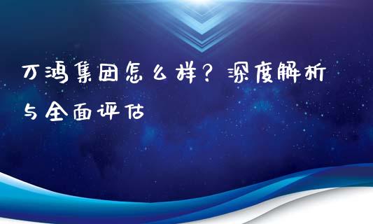 万鸿集团怎么样？深度解析与全面评估_https://wap.fansifence.com_债券投资_第1张