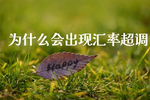 为什么会出现汇率超调_https://wap.fansifence.com_债券投资_第1张