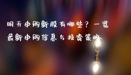 明天申购新股有哪些？一览最新申购信息与投资策略_https://wap.fansifence.com_投资理财_第1张
