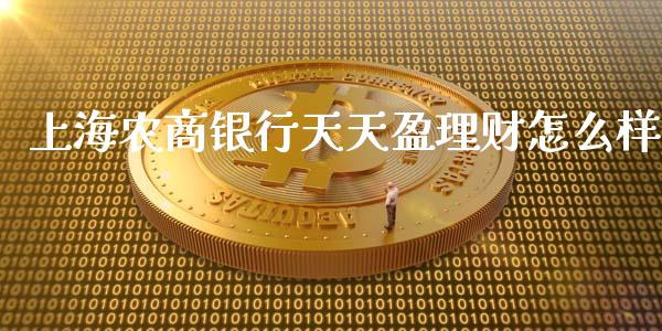 上海农商银行天天盈理财怎么样_https://wap.fansifence.com_今日财经_第1张