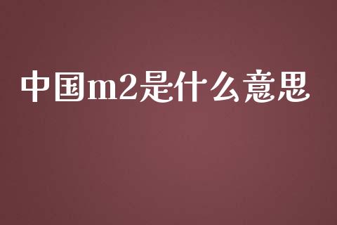 中国m2是什么意思_https://wap.fansifence.com_投资理财_第1张