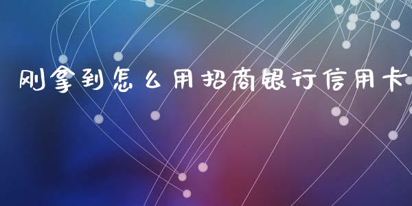 刚拿到怎么用招商银行信用卡_https://wap.fansifence.com_外汇交易_第1张