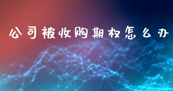 公司被收购期权怎么办_https://wap.fansifence.com_债券投资_第1张