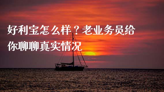 好利宝怎么样？老业务员给你聊聊真实情况_https://wap.fansifence.com_债券投资_第1张