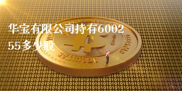 华宝有限公司持有600255多少股_https://wap.fansifence.com_债券投资_第1张