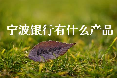 宁波银行有什么产品_https://wap.fansifence.com_债券投资_第1张