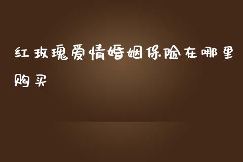 红玫瑰爱情婚姻保险在哪里购买_https://wap.fansifence.com_今日财经_第1张