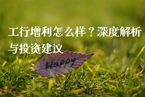 工行增利怎么样？深度解析与投资建议_https://wap.fansifence.com_今日财经_第1张
