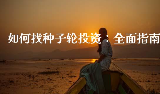 如何找种子轮投资：全面指南_https://wap.fansifence.com_外汇交易_第1张