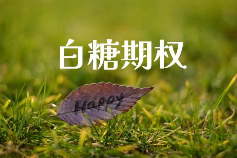 白糖期权_https://wap.fansifence.com_投资理财_第1张