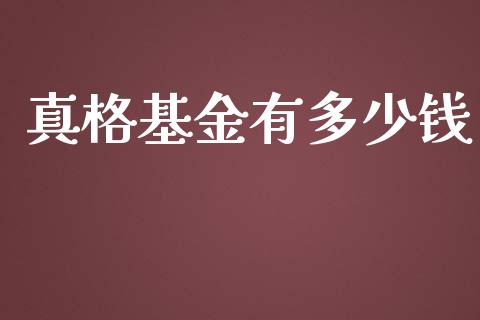 真格基金有多少钱_https://wap.fansifence.com_今日财经_第1张