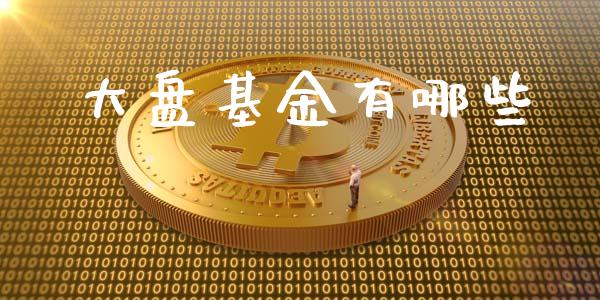 大盘基金有哪些_https://wap.fansifence.com_外汇交易_第1张