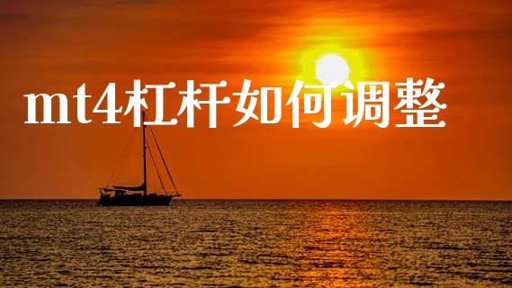 mt4杠杆如何调整_https://wap.fansifence.com_今日财经_第1张