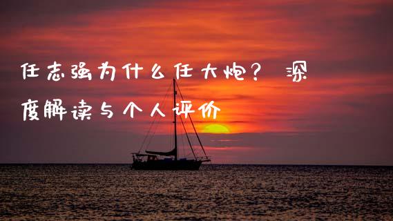 任志强为什么任大炮？ 深度解读与个人评价_https://wap.fansifence.com_投资理财_第1张
