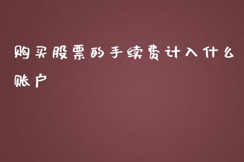 购买股票的手续费计入什么账户_https://wap.fansifence.com_外汇交易_第1张