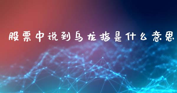 股票中说到乌龙指是什么意思_https://wap.fansifence.com_投资理财_第1张