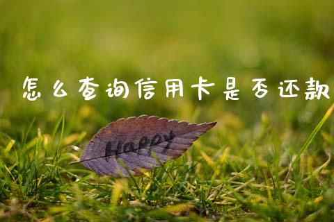 怎么查询信用卡是否还款_https://wap.fansifence.com_外汇交易_第1张
