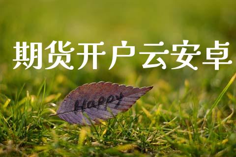 期货开户云安卓_https://wap.fansifence.com_投资理财_第1张
