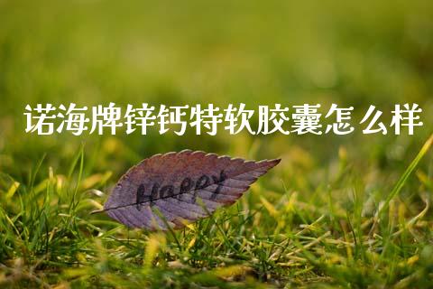 诺海牌锌钙特软胶囊怎么样_https://wap.fansifence.com_债券投资_第1张