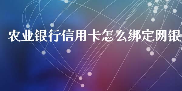 农业银行信用卡怎么绑定网银_https://wap.fansifence.com_债券投资_第1张