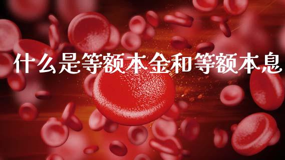 什么是等额本金和等额本息_https://wap.fansifence.com_外汇交易_第1张