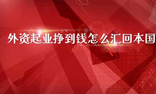 外资起业挣到钱怎么汇回本国_https://wap.fansifence.com_债券投资_第1张