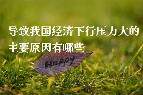 导致我国经济下行压力大的主要原因有哪些_https://wap.fansifence.com_外汇交易_第1张