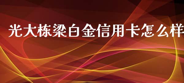 光大栋梁白金信用卡怎么样_https://wap.fansifence.com_今日财经_第1张