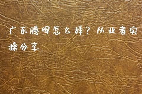 广东腾晖怎么样？从业者实操分享_https://wap.fansifence.com_今日财经_第1张