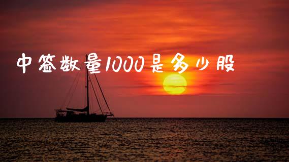 中签数量1000是多少股_https://wap.fansifence.com_外汇交易_第1张