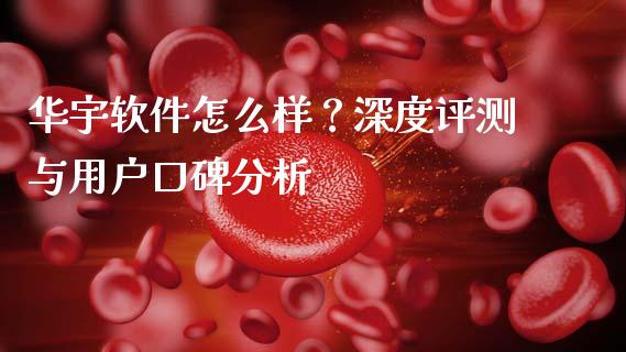 华宇软件怎么样？深度评测与用户口碑分析_https://wap.fansifence.com_投资理财_第1张