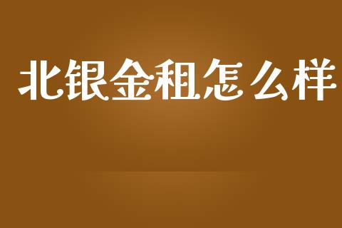 北银金租怎么样_https://wap.fansifence.com_今日财经_第1张