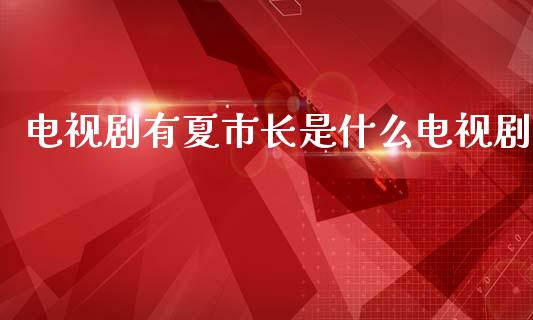 电视剧有夏市长是什么电视剧_https://wap.fansifence.com_投资理财_第1张