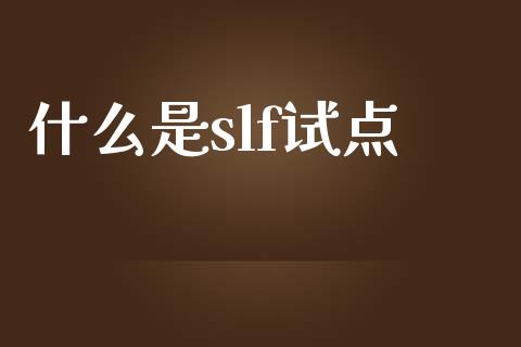 什么是slf试点_https://wap.fansifence.com_外汇交易_第1张