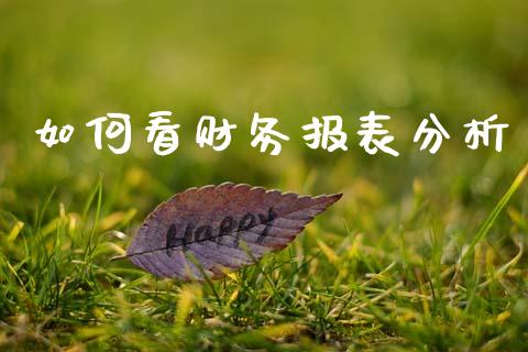 如何看财务报表分析_https://wap.fansifence.com_债券投资_第1张