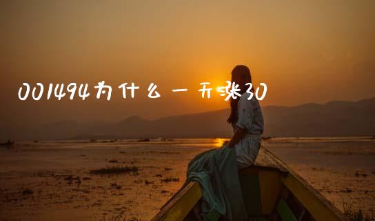 001494为什么一天涨30_https://wap.fansifence.com_债券投资_第1张