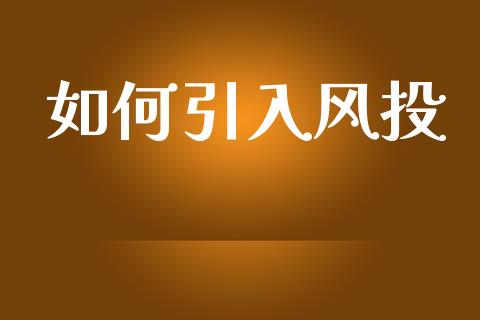 如何引入风投_https://wap.fansifence.com_投资理财_第1张