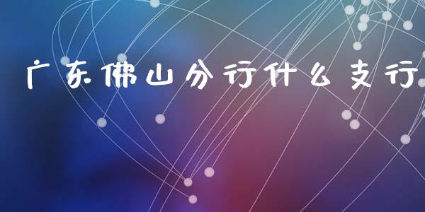 广东佛山分行什么支行_https://wap.fansifence.com_投资理财_第1张