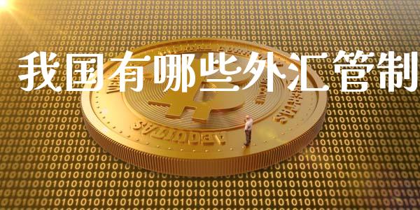 我国有哪些外汇管制_https://wap.fansifence.com_投资理财_第1张