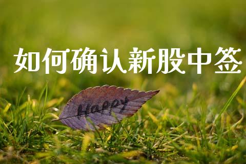 如何确认新股中签_https://wap.fansifence.com_投资理财_第1张