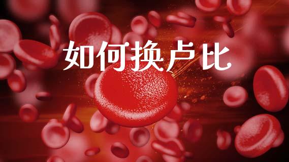 如何换卢比_https://wap.fansifence.com_债券投资_第1张
