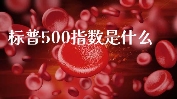 标普500指数是什么_https://wap.fansifence.com_外汇交易_第1张