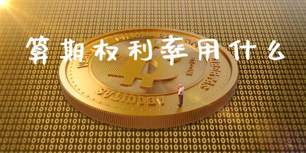 算期权利率用什么_https://wap.fansifence.com_外汇交易_第1张